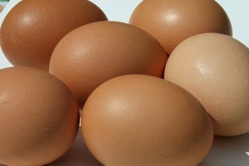 oeufs