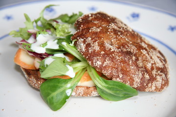 vegetarischer vollkorn sandwich