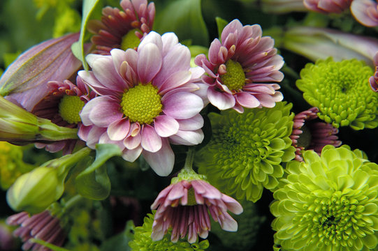 bouquet