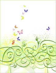 Fototapeta na wymiar vector floral and butterfly background