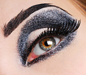 fashion make up of eye.