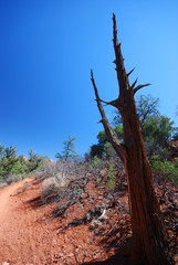 sedona trail