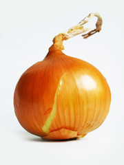 onion on the white