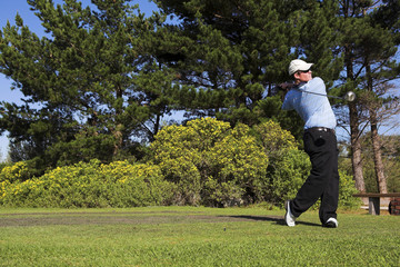 golf #35