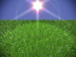 fine grass with flare light effect