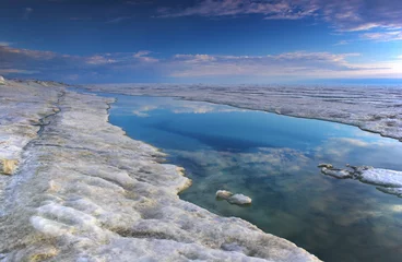 Foto op Plexiglas arctic ocean © georgeburba
