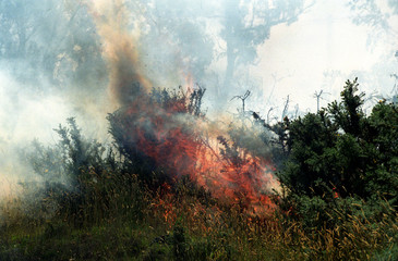 incendie 3
