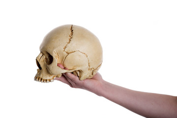 skull on the hand