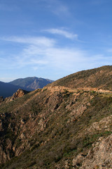 Naklejka premium corse