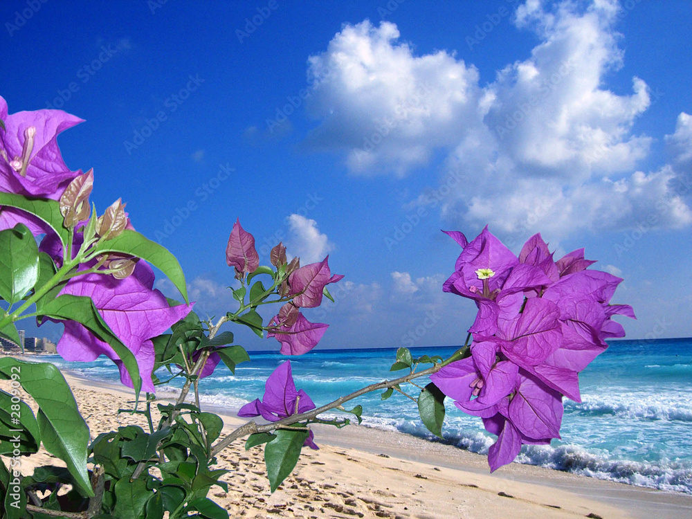 1000_F_2809092_vxBCi6piaxKMrFld0Fl8NOuHJpCZaS.jpg