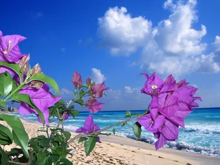 Foto op Canvas Mexique plage de Cancun © foxytoul