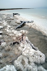 dead sea salty crystals