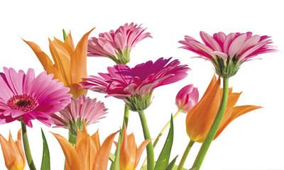 spring garden 2