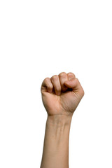woman fist