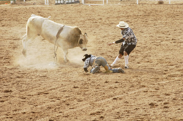 bull riding 10