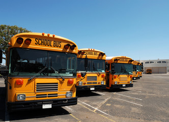 Plakat school buses