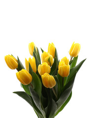 spring time