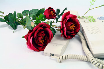 telephone and rose