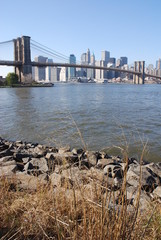 brooklyn bridge #1