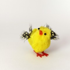 easter chick
