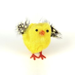 easter chick