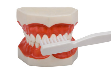 dentures, brush your teeth