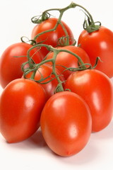vine plum tomatoes