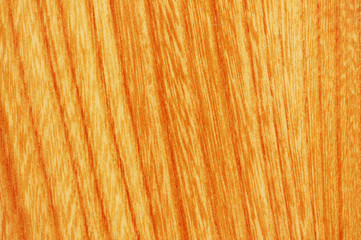texture of red wood - can be used as background