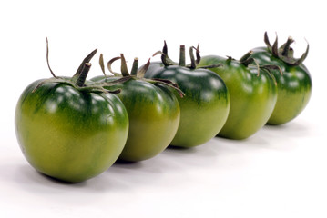 fresh green tomatoes