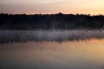sunrise at the carmine river