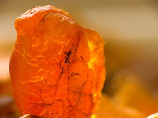 raw amber