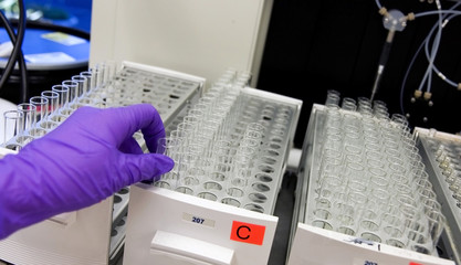 checking the samples