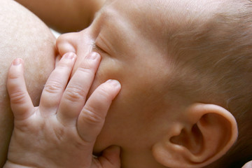 close up of newborn baby near breast - obrazy, fototapety, plakaty