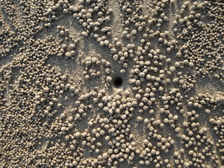 sand balls