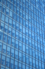 windows of a skyscraper - working day