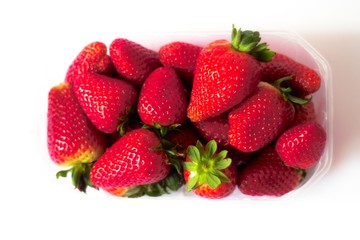 erdbeeren