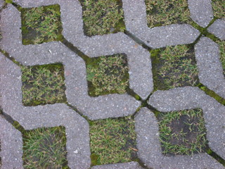 rasenstein
