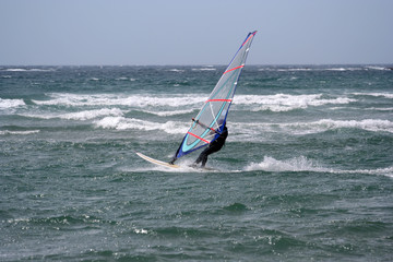 windsurf