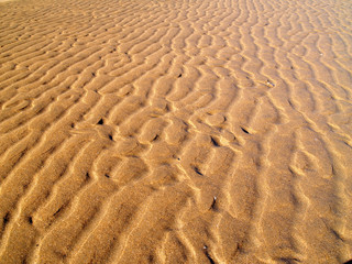 ondas sobre la arena