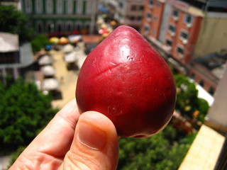 jambo frucht,  amazonas - brasil