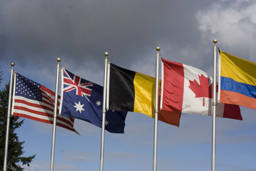 international cooperation 3