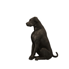 Obraz premium black labrador retriever - 01
