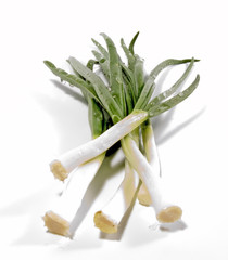 green onions