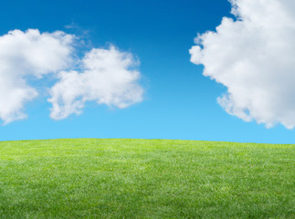 Obraz premium green grassy hill