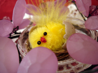yellow chicken on basket with egg