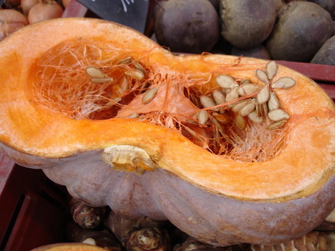 3 976 Best Potiron Images Stock Photos Vectors Adobe Stock