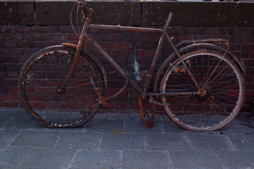 Fototapeta na wymiar zardzewiały rower