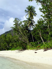 spiaggia delle seychelles
