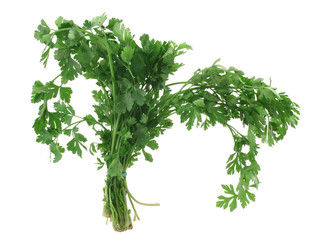 bunch of fresh parsley