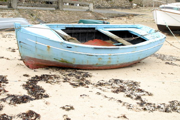 Fototapeta premium coque bois